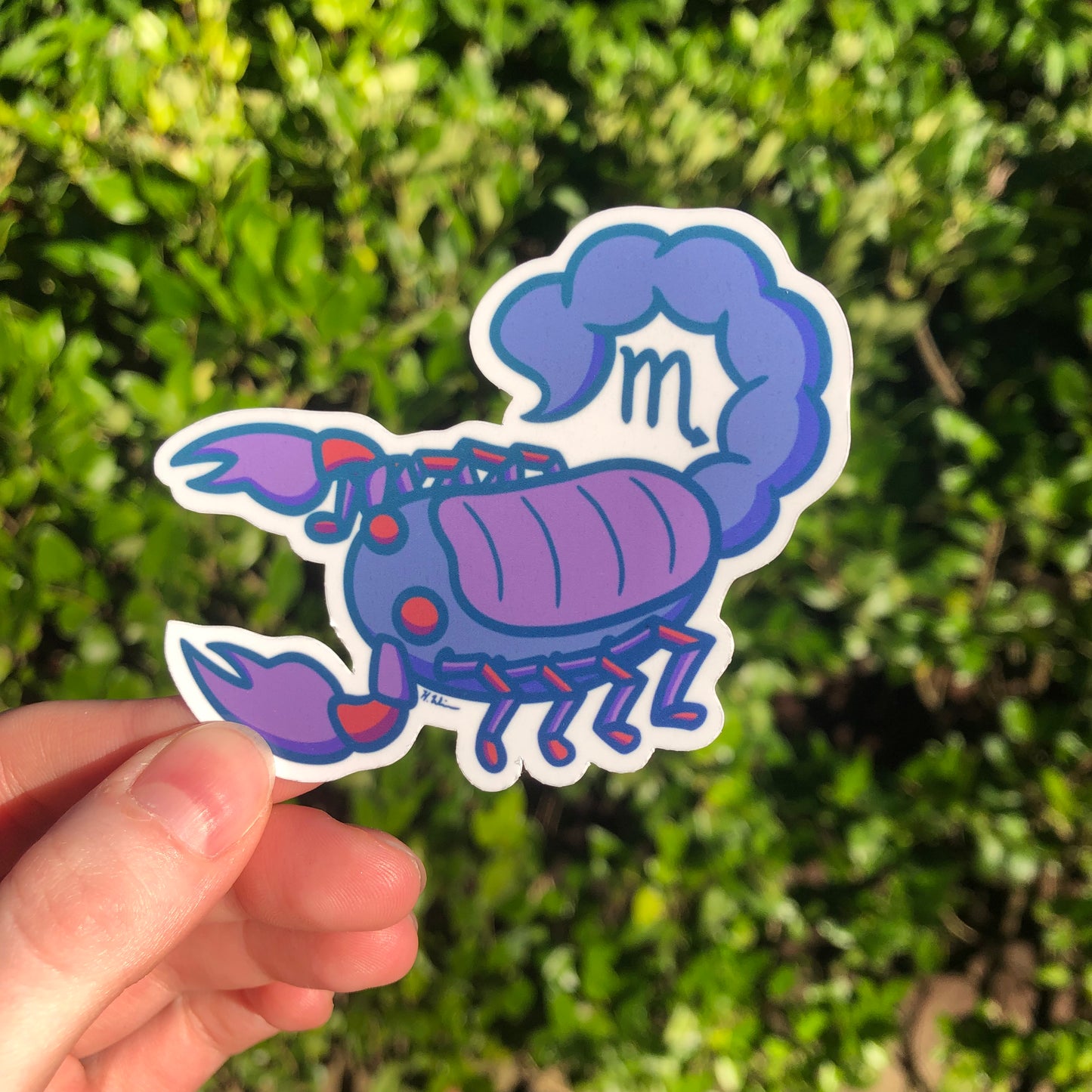 Scorpio Astrology Sticker