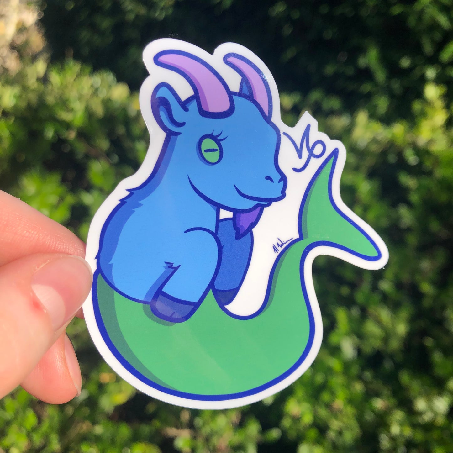 Capricorn Astrology Sticker