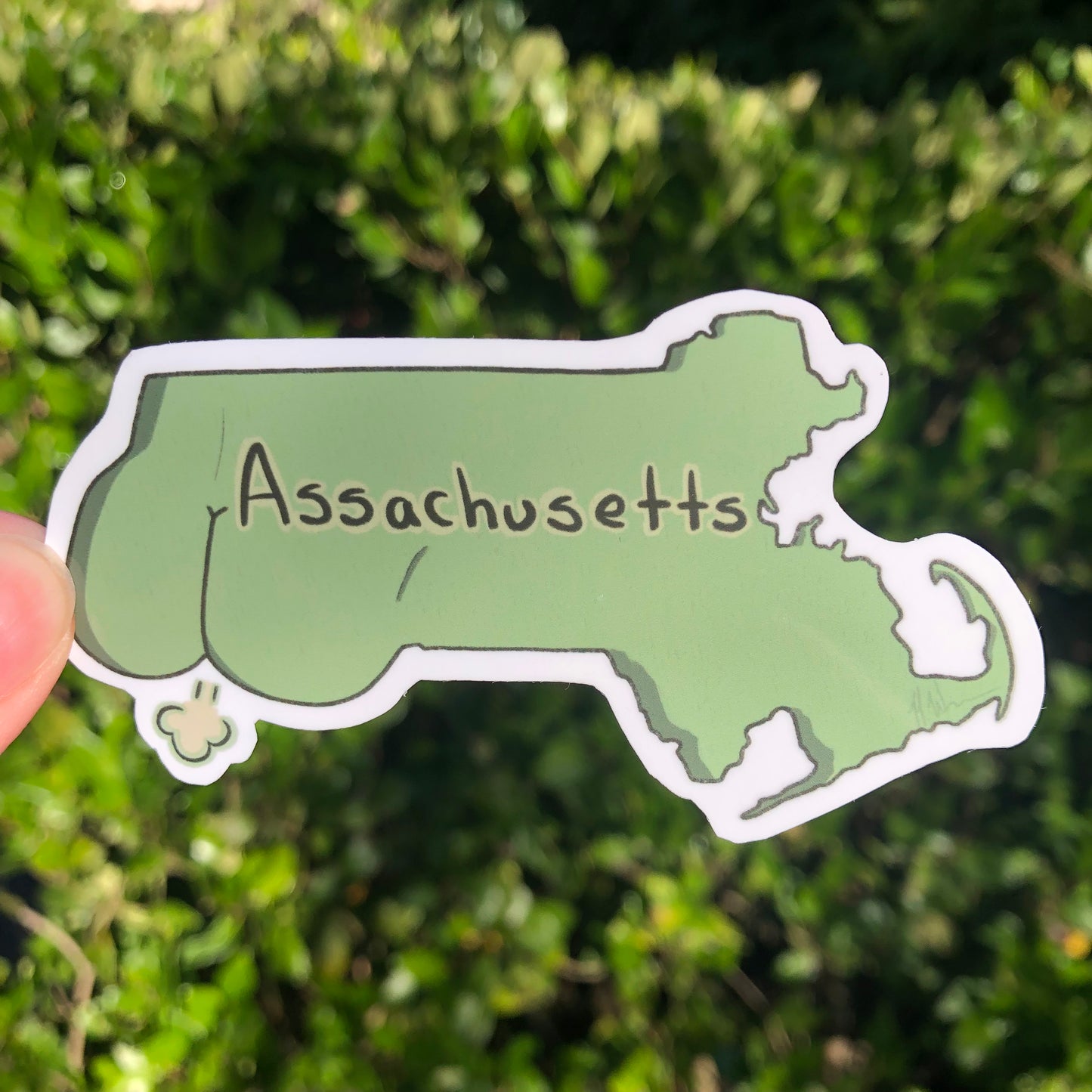 Assachusetts Sticker